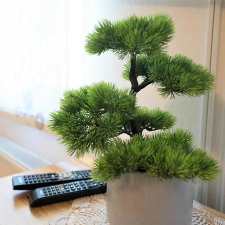 Affittacamere Kmetija Podobnik Idrija